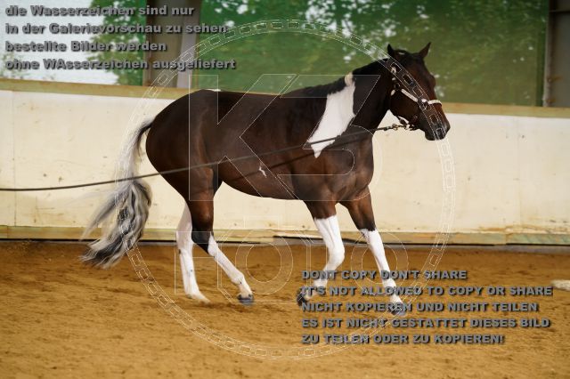 s_K3F06216.JPG